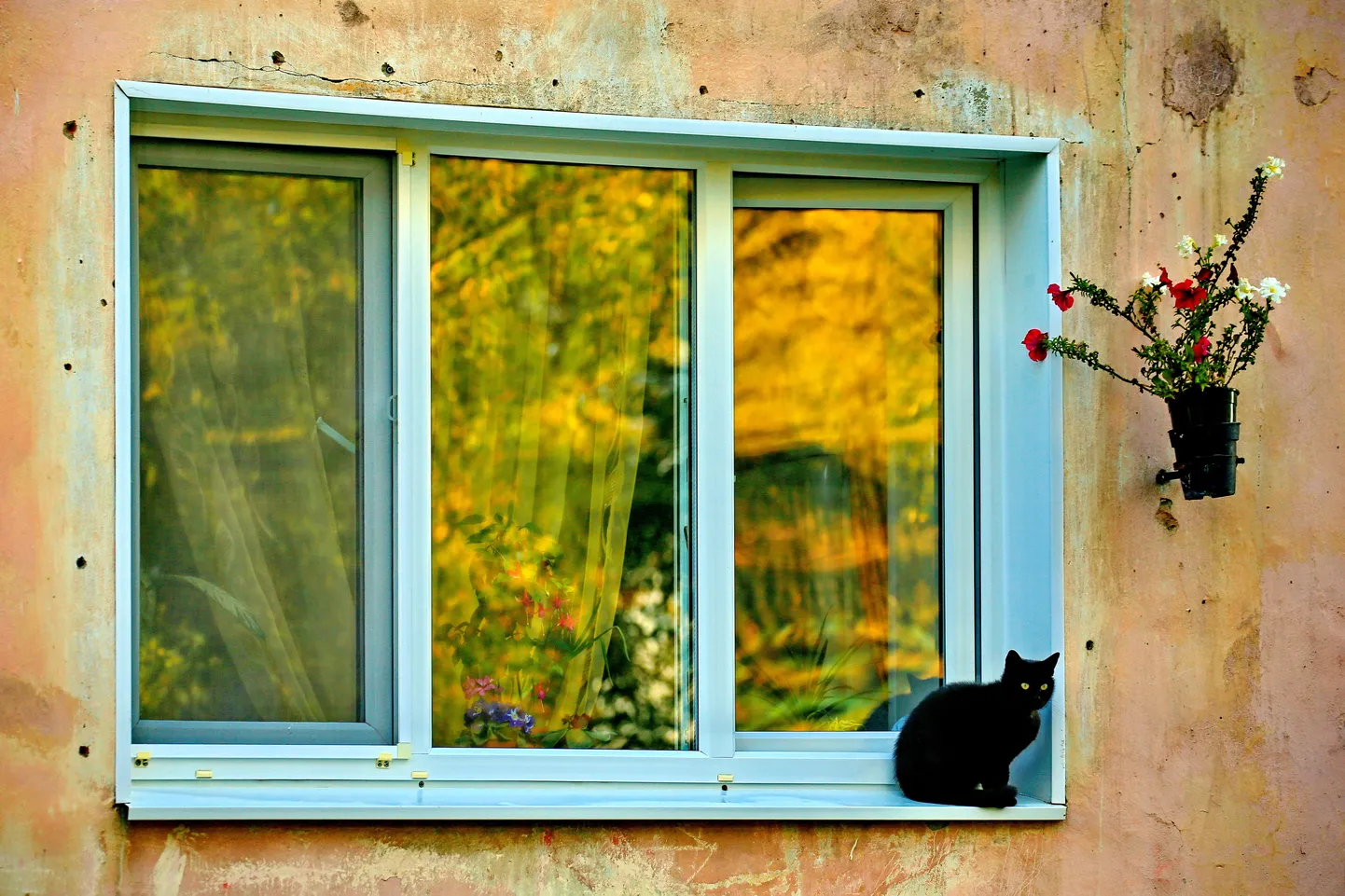 Artikli foto