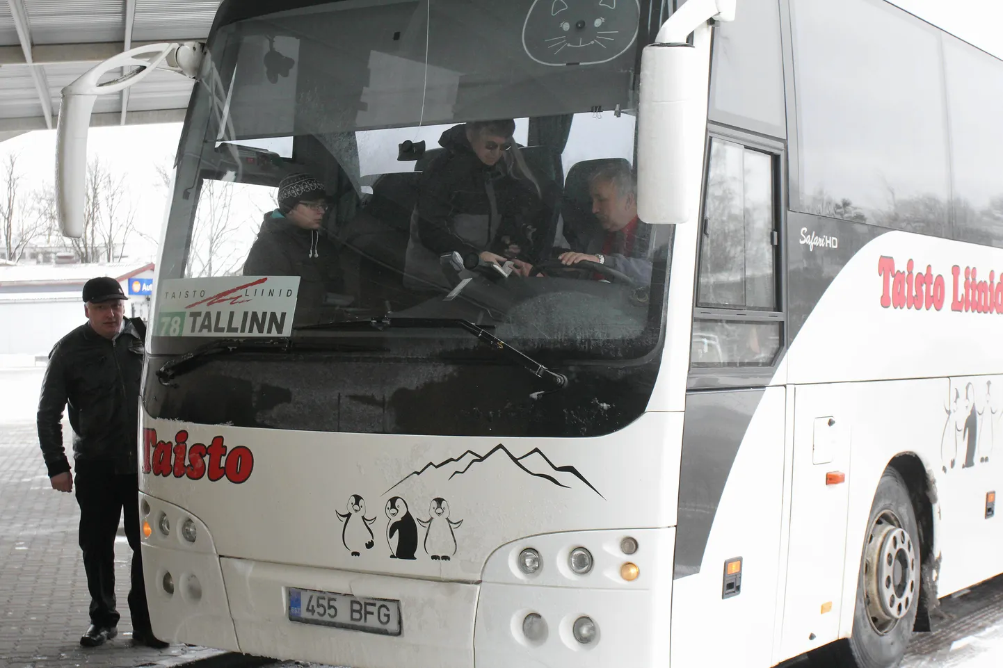 Taisto firma buss.