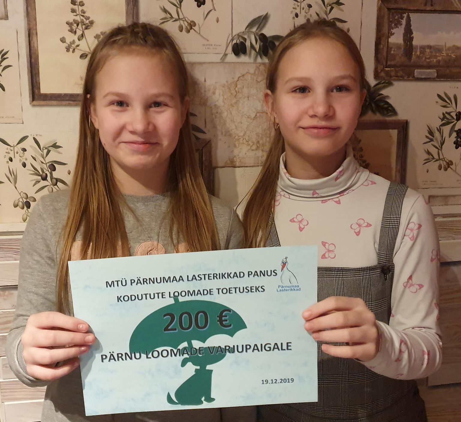MTÜ Pärnumaa Lasterikkad kogusid heategevuslaadal raha Pärnu kodutute loomade varjupaigale.