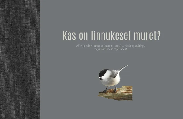 «Kas on linnukesel muret?».