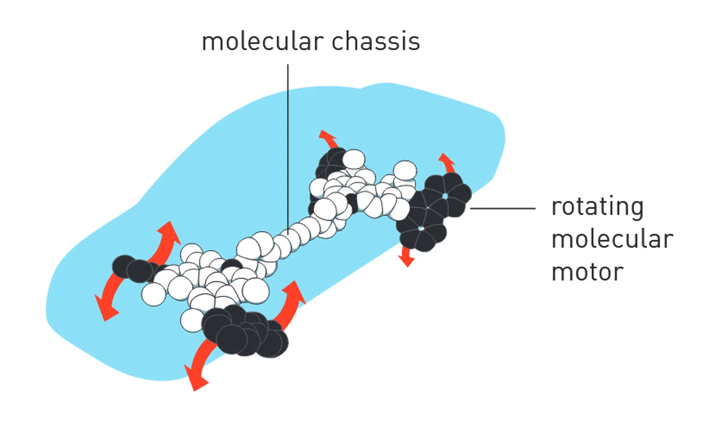 Nanoauto.