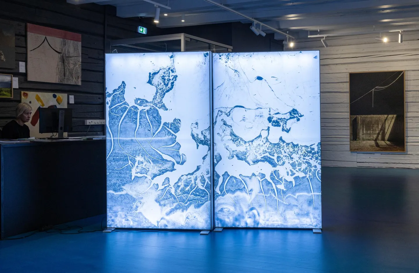 Rüki galeriis vaatajaid ootaval näitusel "See, mida ma vaatama tulin, oli juba kadunud" on väljas Aap Tepperi, Birgit Püve ja Serge Eckeri looming.