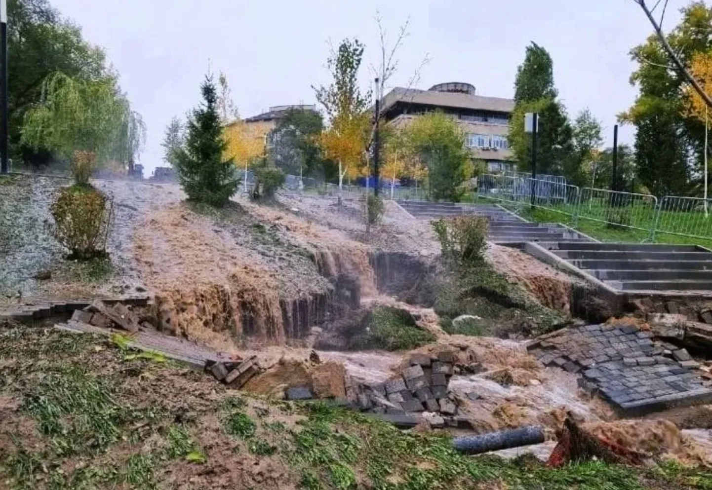 Фото статьи