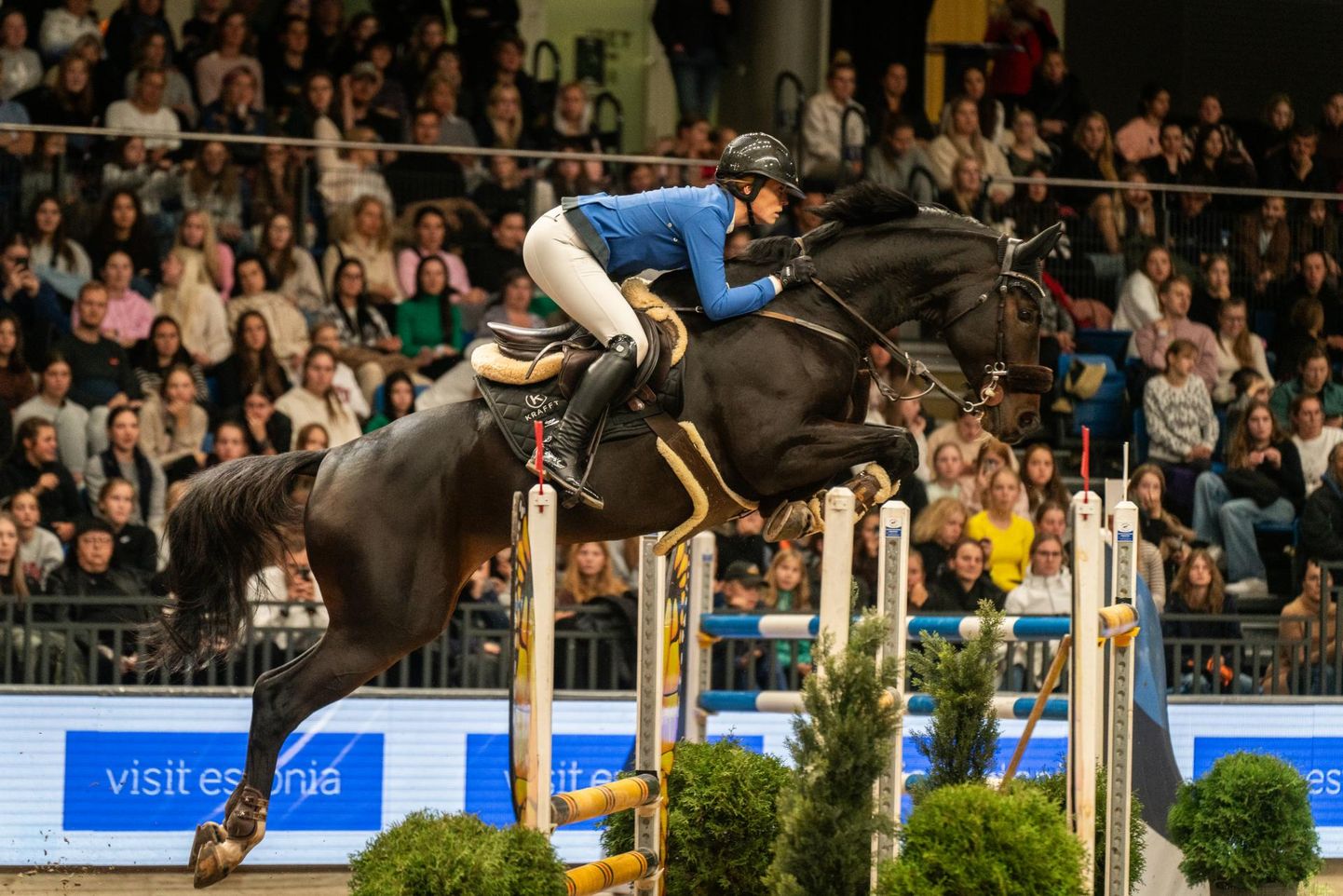 Susan Kaleta ja hobune Hudson Hornet võistlemas Tallinn International Horse Show`l.