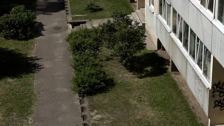 Фото статьи