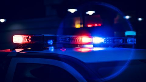 VP: Latvijā tuvākajā laikā iespējama etnisku noziedzīgu grupu veidošanās