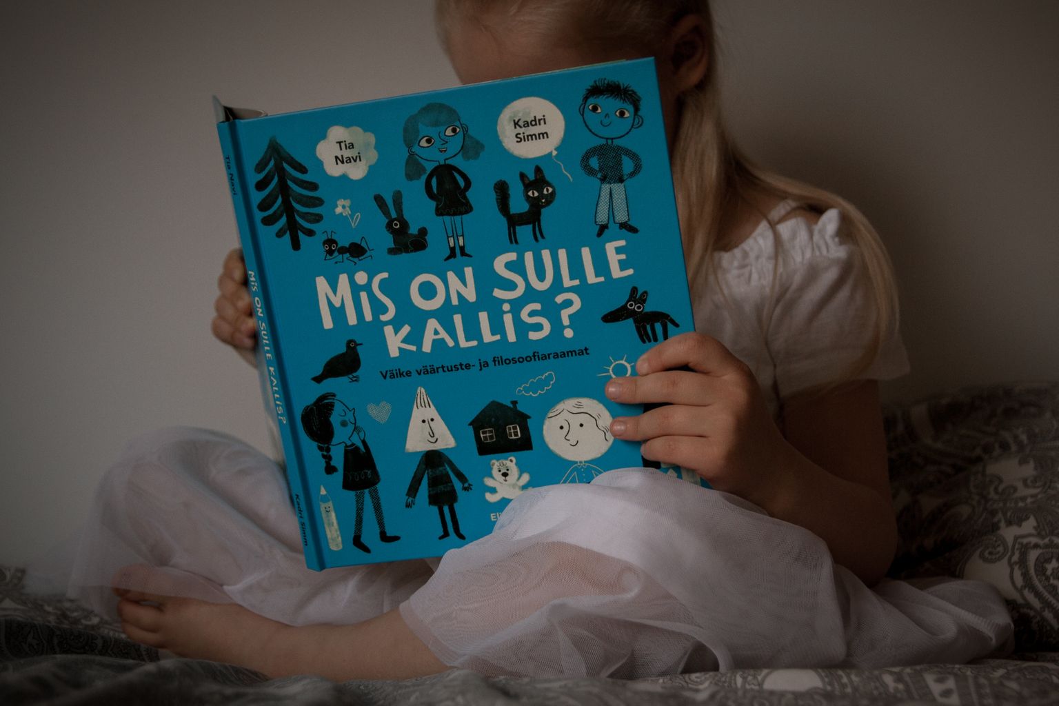 Raamat «Mis on sulle kallis?» sisaldab kuut kaasahaaravat lugu.
