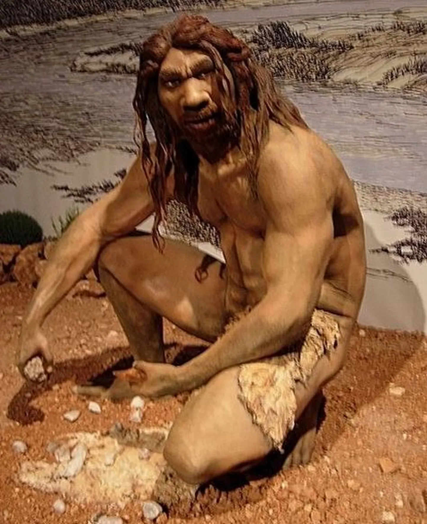 Heidelbergi inimese rekonstruktsioon