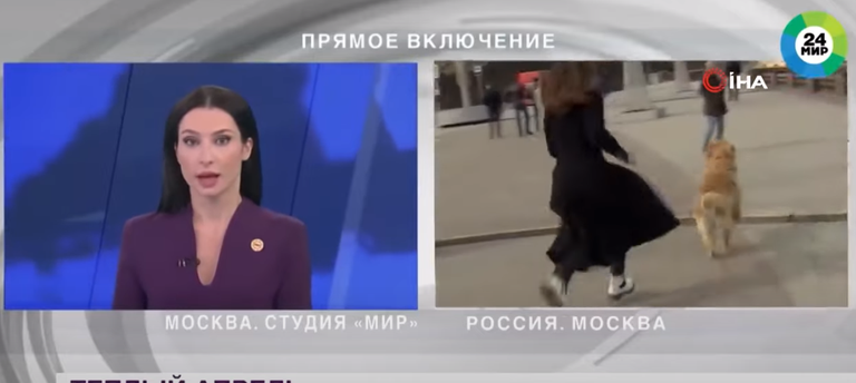 Venemaa telekanali Mir meteoroloog läks temalt mikrofoni varastanud koera taga ajama