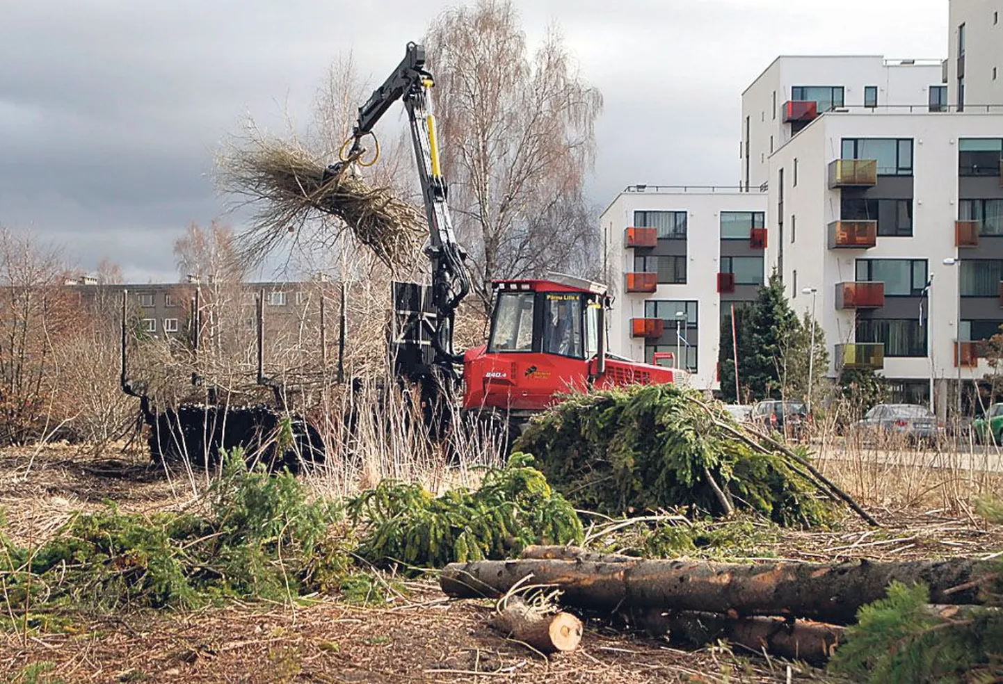 Eelmisel nädalal tehti keskkonnahariduskeskuse krundil puhastustöid, Grundar Puit OÜ töötajad võtsid maha puid, mida kasvama jätta polnud võimalik.