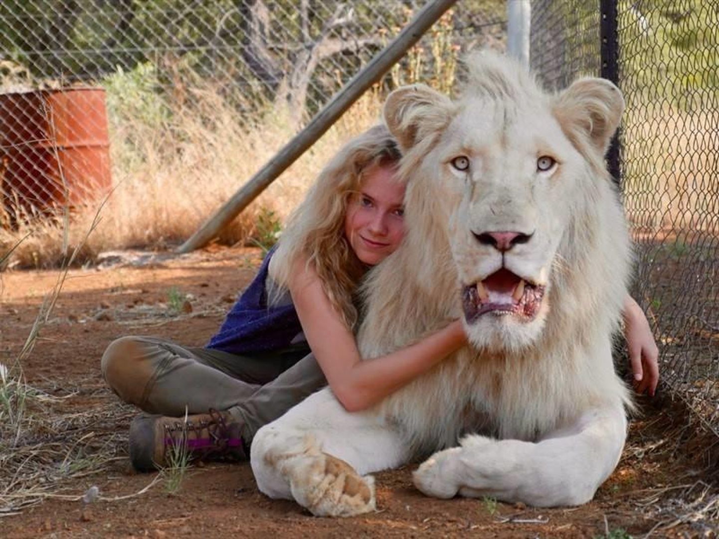 Kaader filmist "Mia ja valge lõvi".