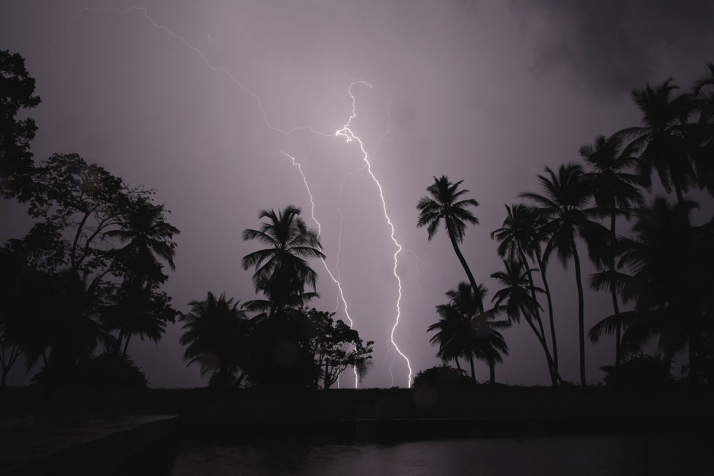 Lightning strikes over Lake Maracaibo in the village of Ologa, where the Catatumbo River feeds into the lake, in the western state of Zulia October 23, 2014. This year the Catatumbo Lightning was approved for inclusion in the 2015 edition of Guinness World Records, dethroning the Congolese town of Kifuka as the place with the world's most lightning bolts per square kilometer each year at 250. Scientists think the Catatumbo, named for a river that runs into the lake, is normal lightning that just happens to occur far more than anywhere else, due to local topography and wind patterns. Picture taken with long exposure October 23, 2014.  REUTERS/Jorge Silva (VENEZUELA - Tags: SOCIETY ENVIRONMENT TPX IMAGES OF THE DAY)

ATTENTION EDITORS: PICTURE 10 OF 20 FOR WIDER IMAGE PACKAGE 'VENEZUELA'S ETERNAL STORM'  
TO FIND ALL IMAGES SEARCH 'CATATUMBO LIGHTNING'