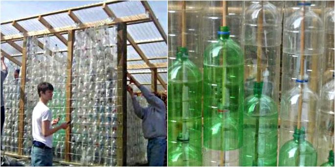 Как построить теплицу из пластиковых бутылок?