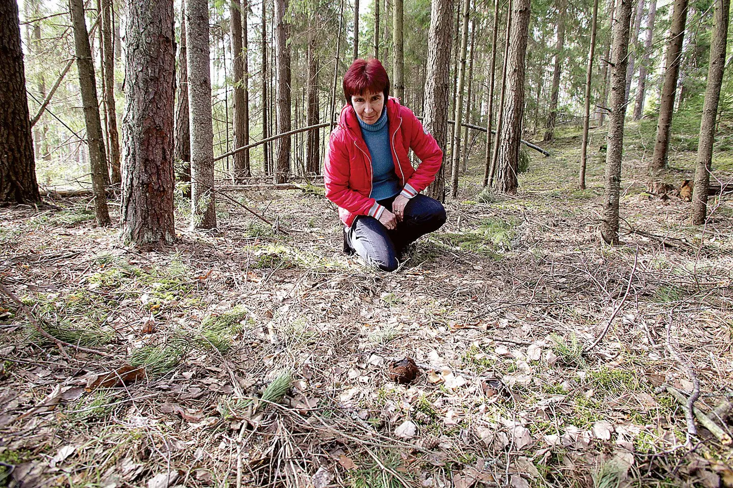 Seenetundja Tea Meos näitab metsas haruldast seent limatünnikut.