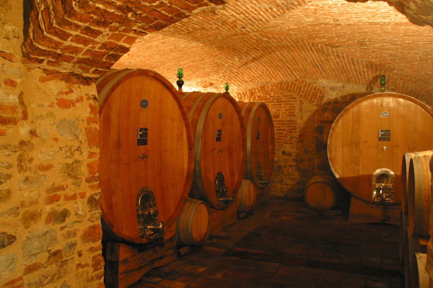 Veinikelder Toscanas, Itaalias.