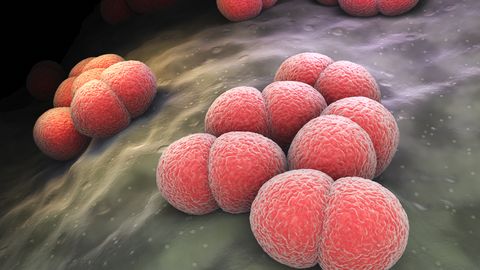 USA eksperdid hoiatavad bakteriaalse infektsiooni eest, mis ilmneb ebatavaliste sümptomitega