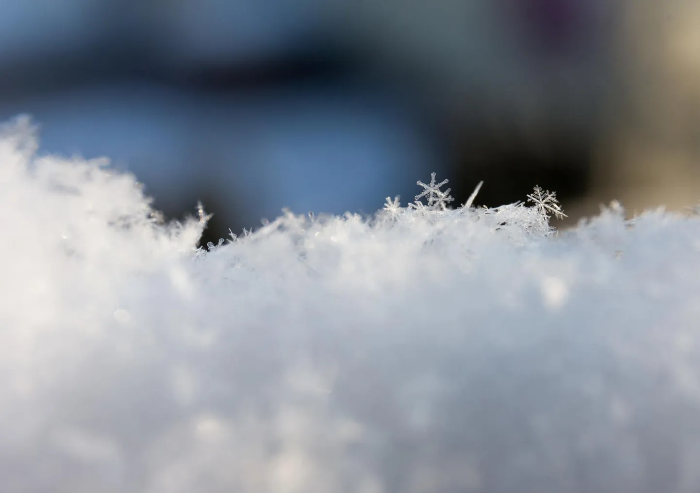Lauslumi on tahked sademed, mis langevad maapinnale lumekristallidena või räitsakatena, kui õhutemperatuur on alla 0 °C.