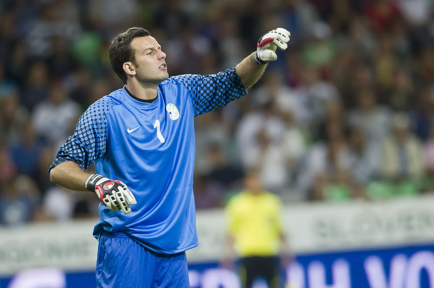 Samir Handanovic