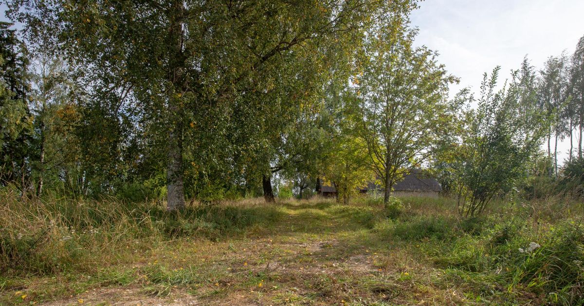 Ülle tapmises kahtlustatav on naaberküla mees