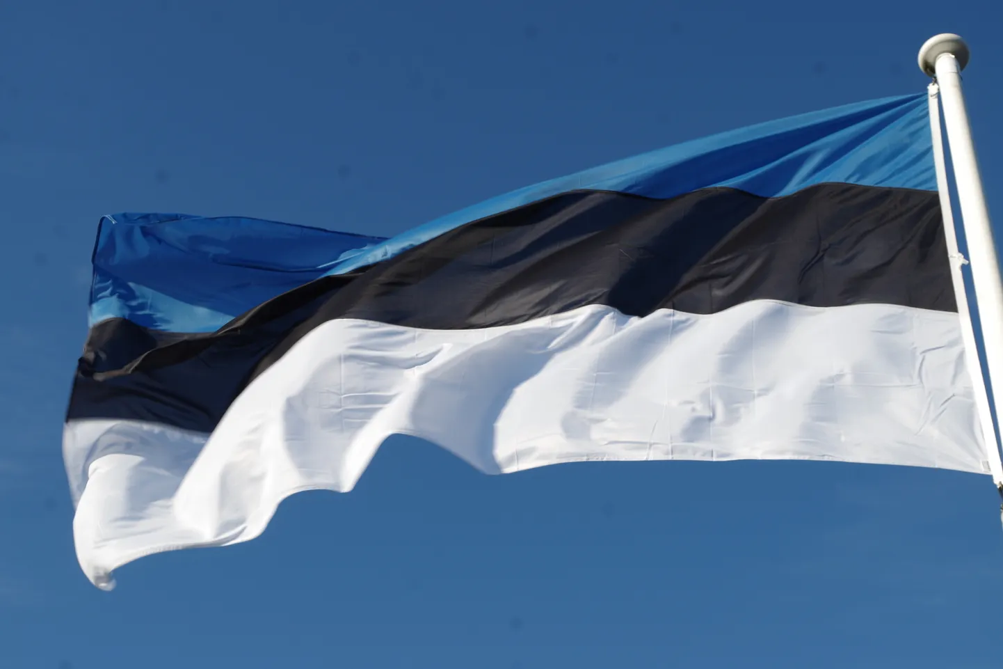 Eesti lipp.