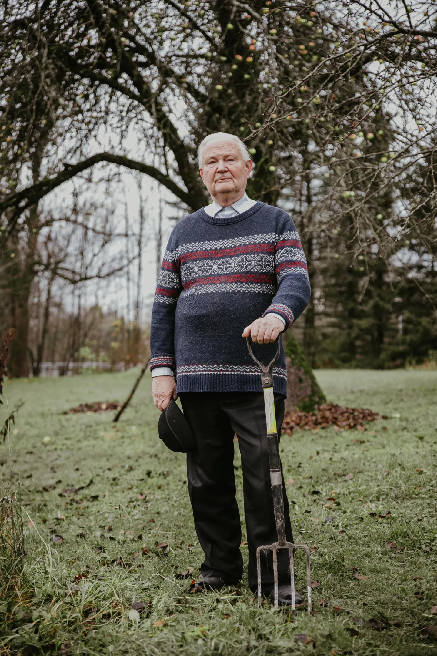 Jaak Uibu
