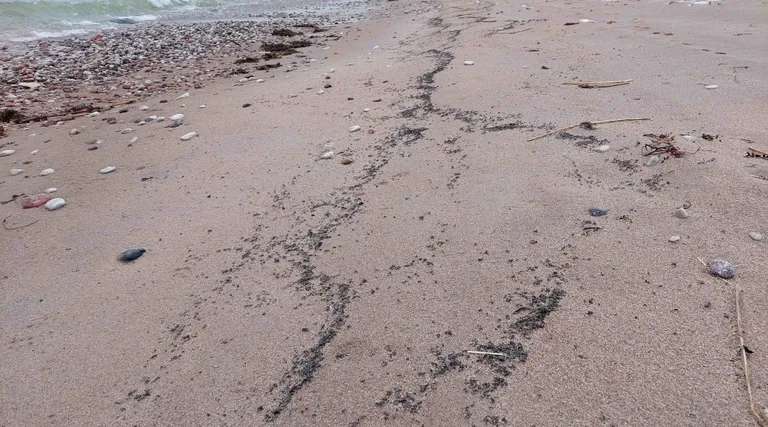 Загрязнение на побережье Хийумаа.