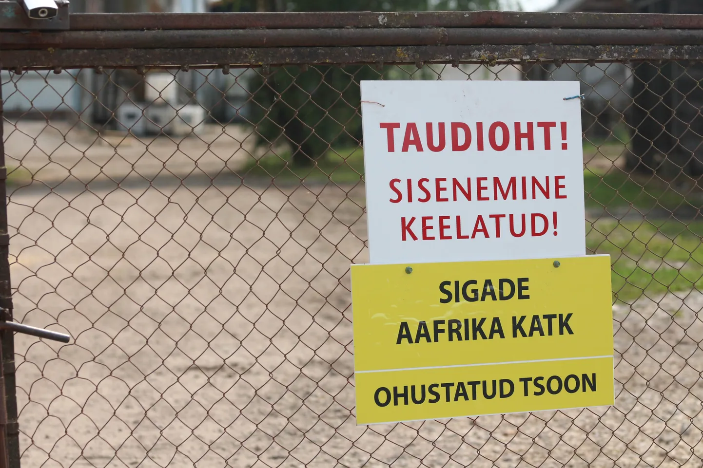 Artikli foto