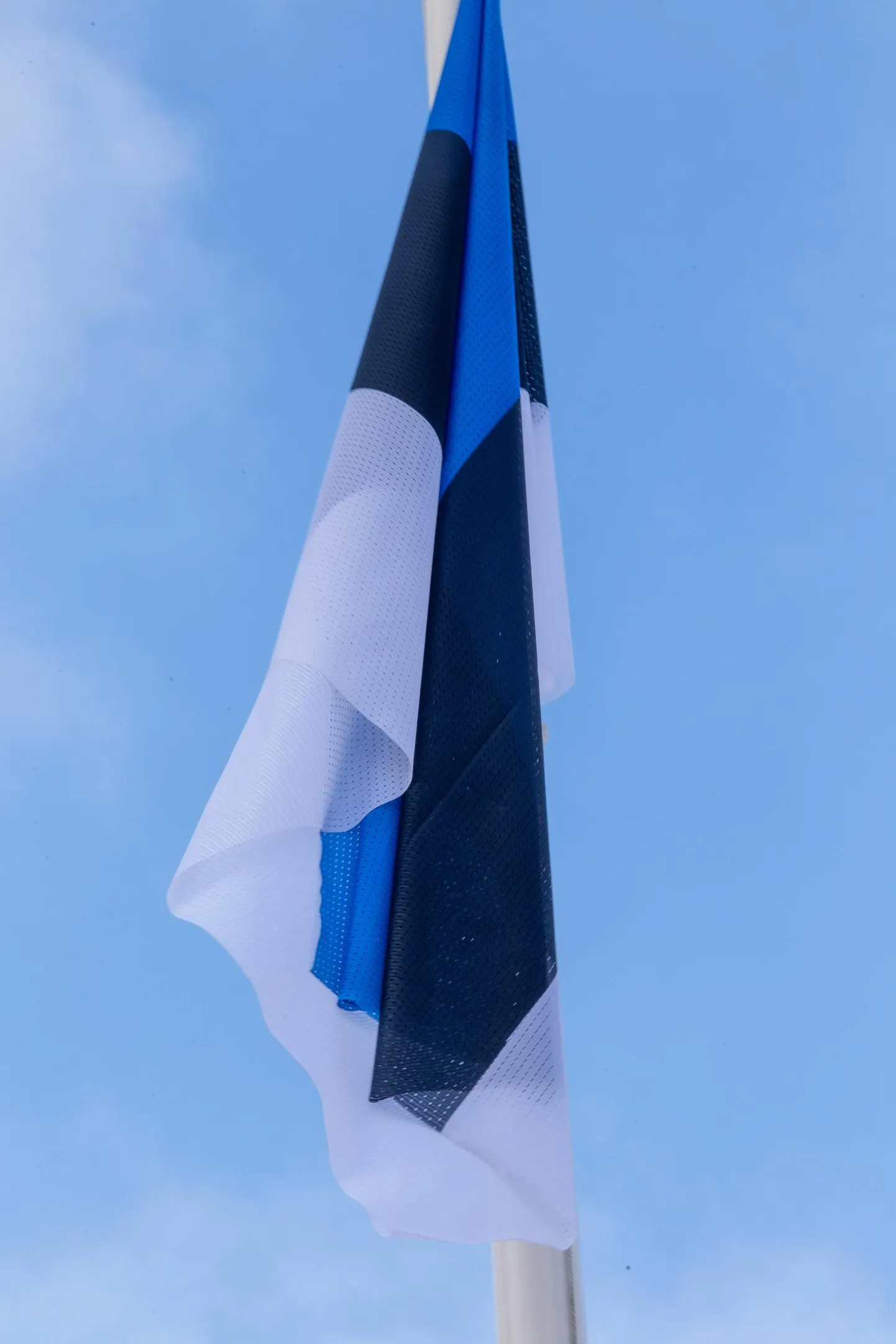 Eesti lipp