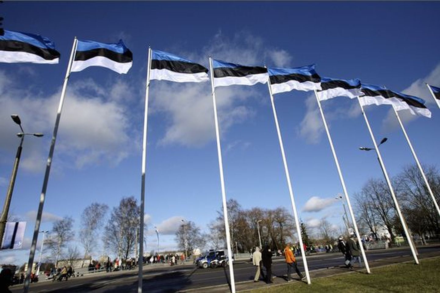 Флаги Эстонии.