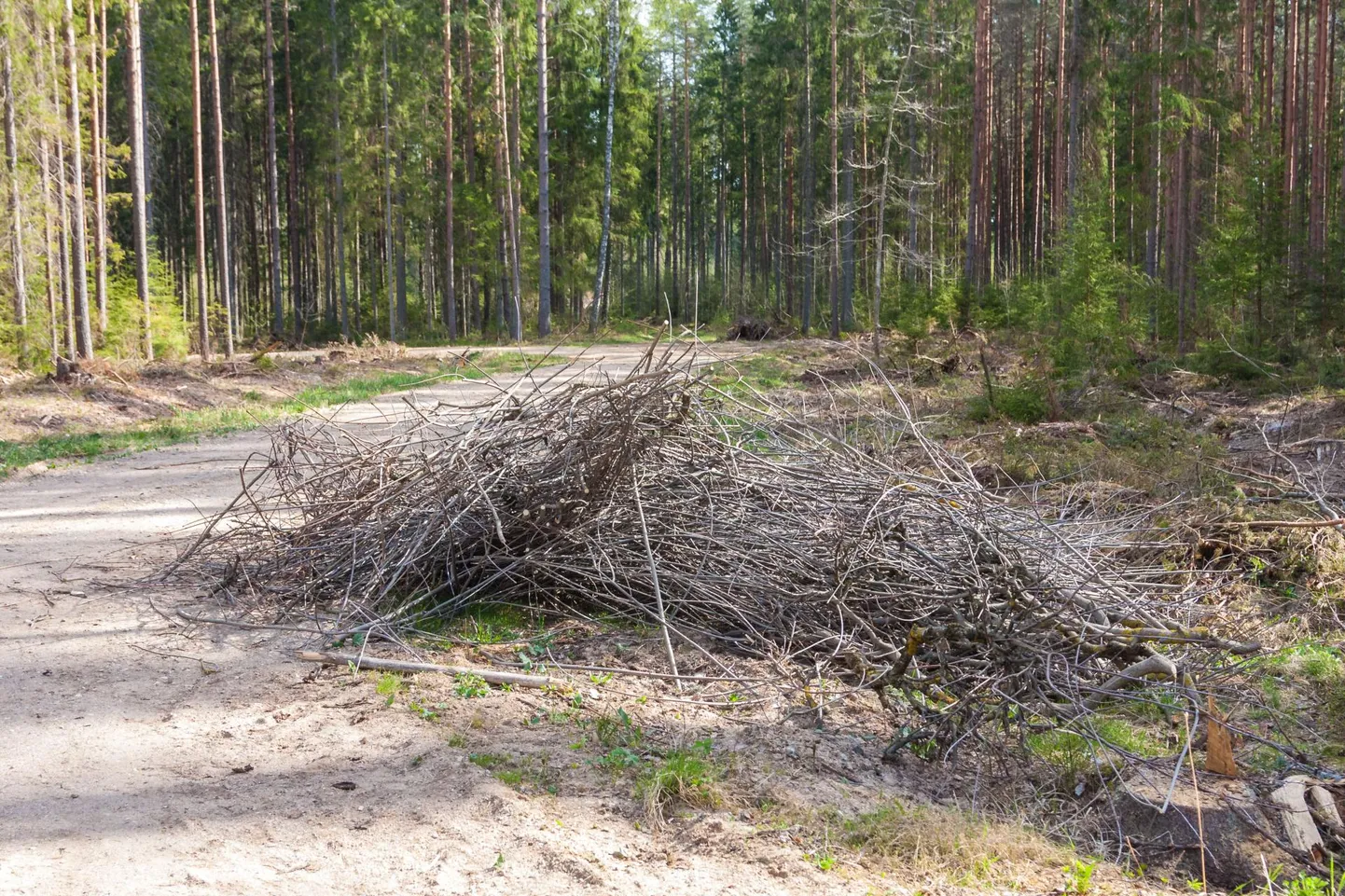 Kadrina vallas niidetakse teeäärtes võsa.