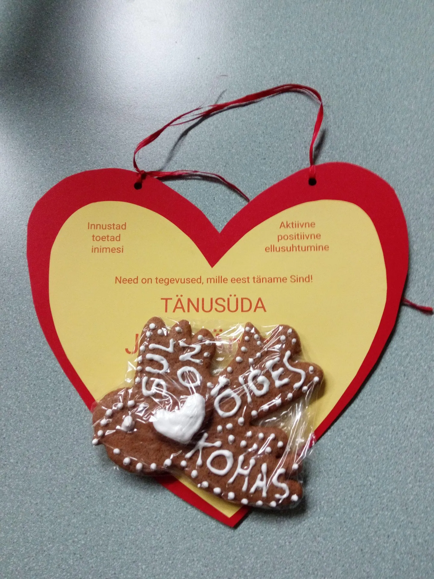 Eelmisel aastal said tänuüritusel osalenud tunnustuse märgiks tänusüdame.