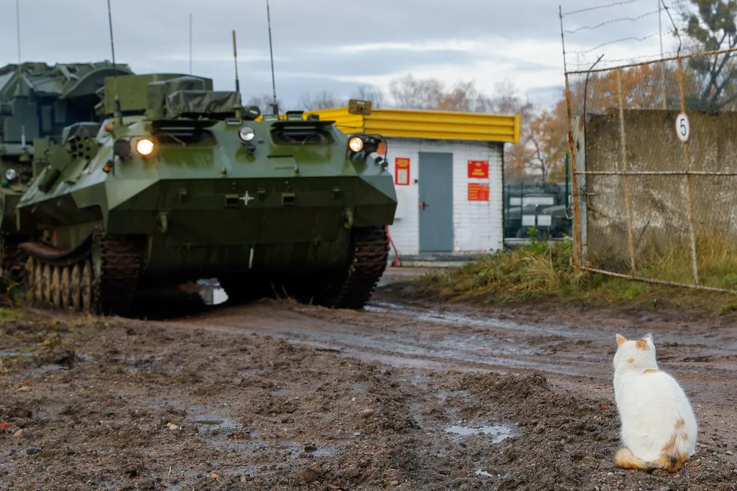 Tor-M2 raketisüsteem mullu novembris Kaliningradis Venemaa Balti laevastiku õhutõrjeüksuste õppusel.