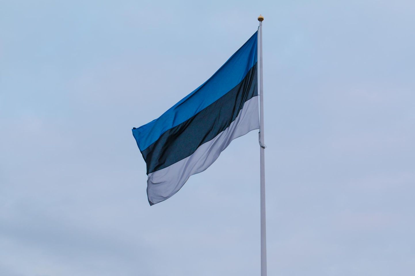 Vabadussõjas võidelnute mälestuspäeva puhul on reedel Eestis lipupäev.
