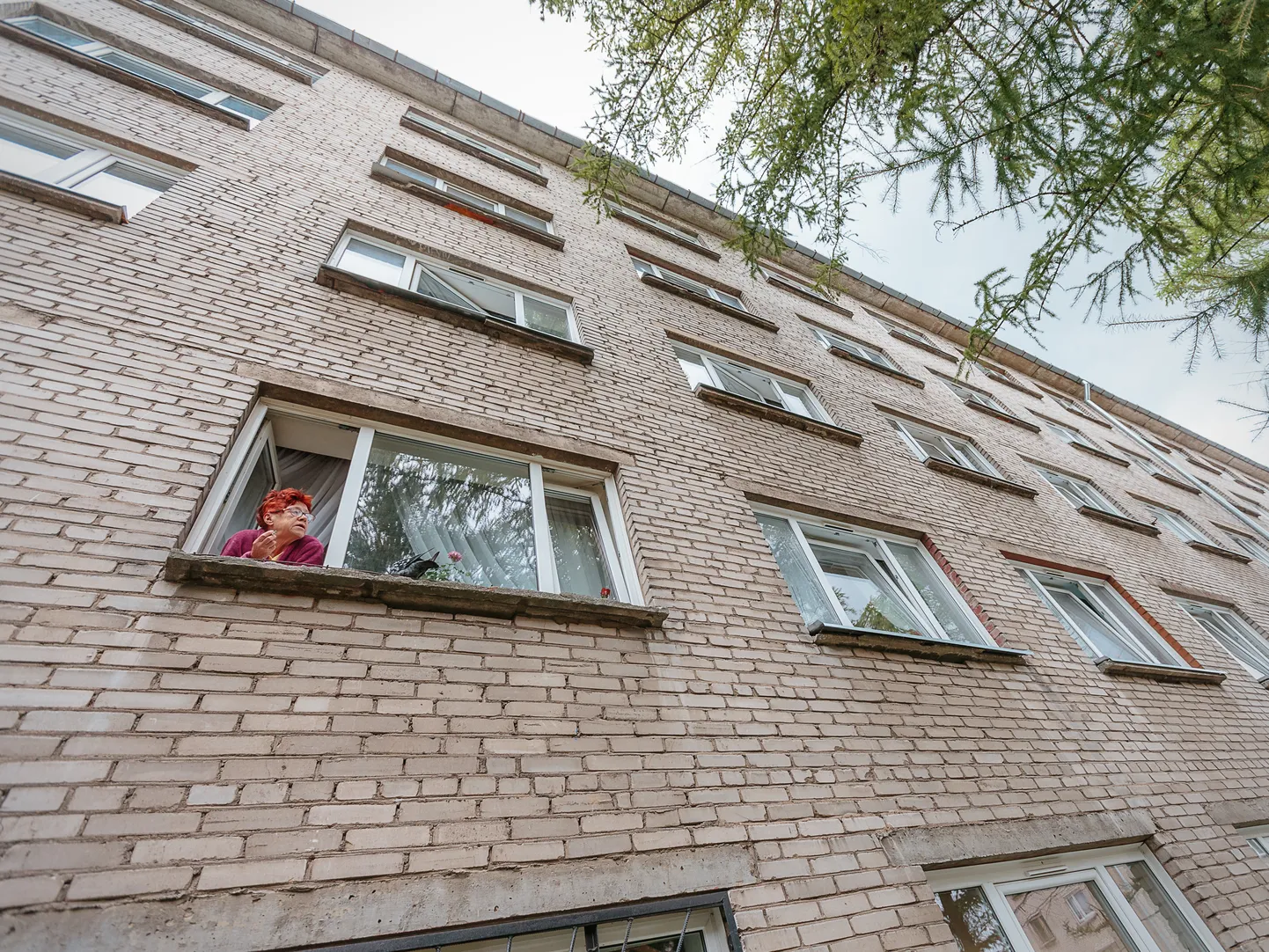 Окна городского общежития на нарвской улице Энергия.