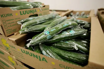 Pildil Bambona puu- ja juurviljaladu.