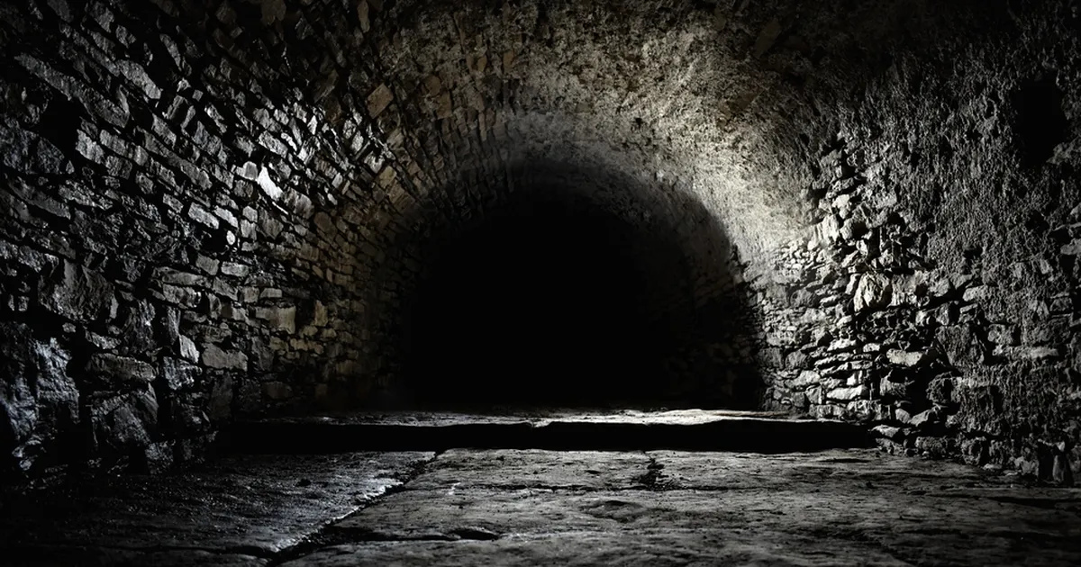 Video ⟩ În timp ce făceau reparații, un cuplu a găsit o cameră plină cu apă sub casă și avea un trecut criminal.