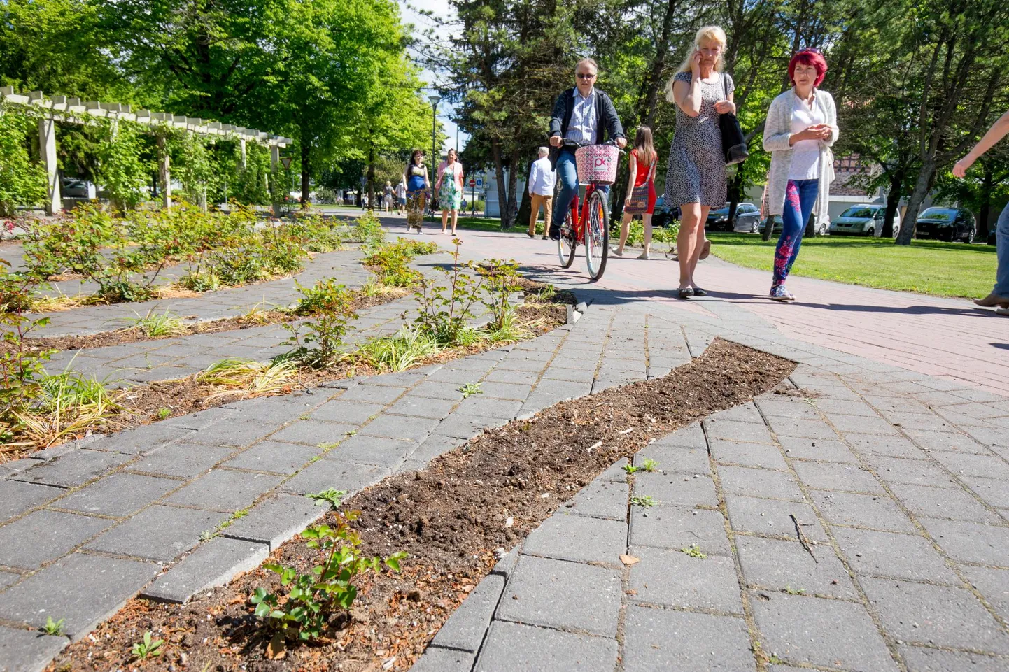 Jakobsoni park on sõjajärgne pärand, mil varemeteväljad kultiveeriti parkideks. Paljude arvates tuleks park hoonestada miljöösse sobiva majaga.