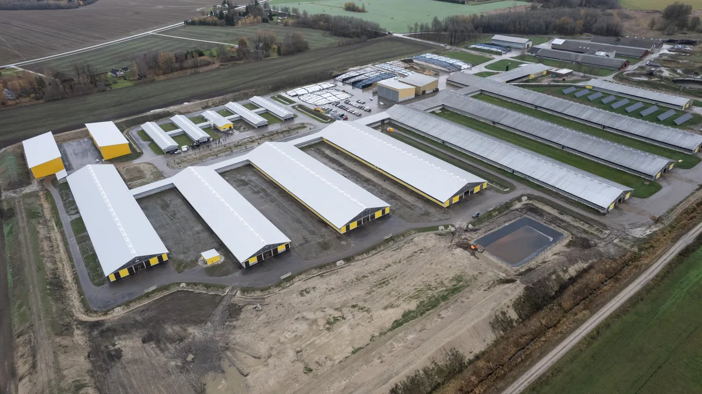 Mapri Ehituse üks suurenaid töid põllumajanduses on olnud osaühingu Mangeni PM laudakompleks Viljandimaal. Farm koosneb kaheksast vasikalautade kompleksist, mis valmis 2021. aastal, ja viiest noorloomade laudast, mis valmisid 2022. aasta sügisel.