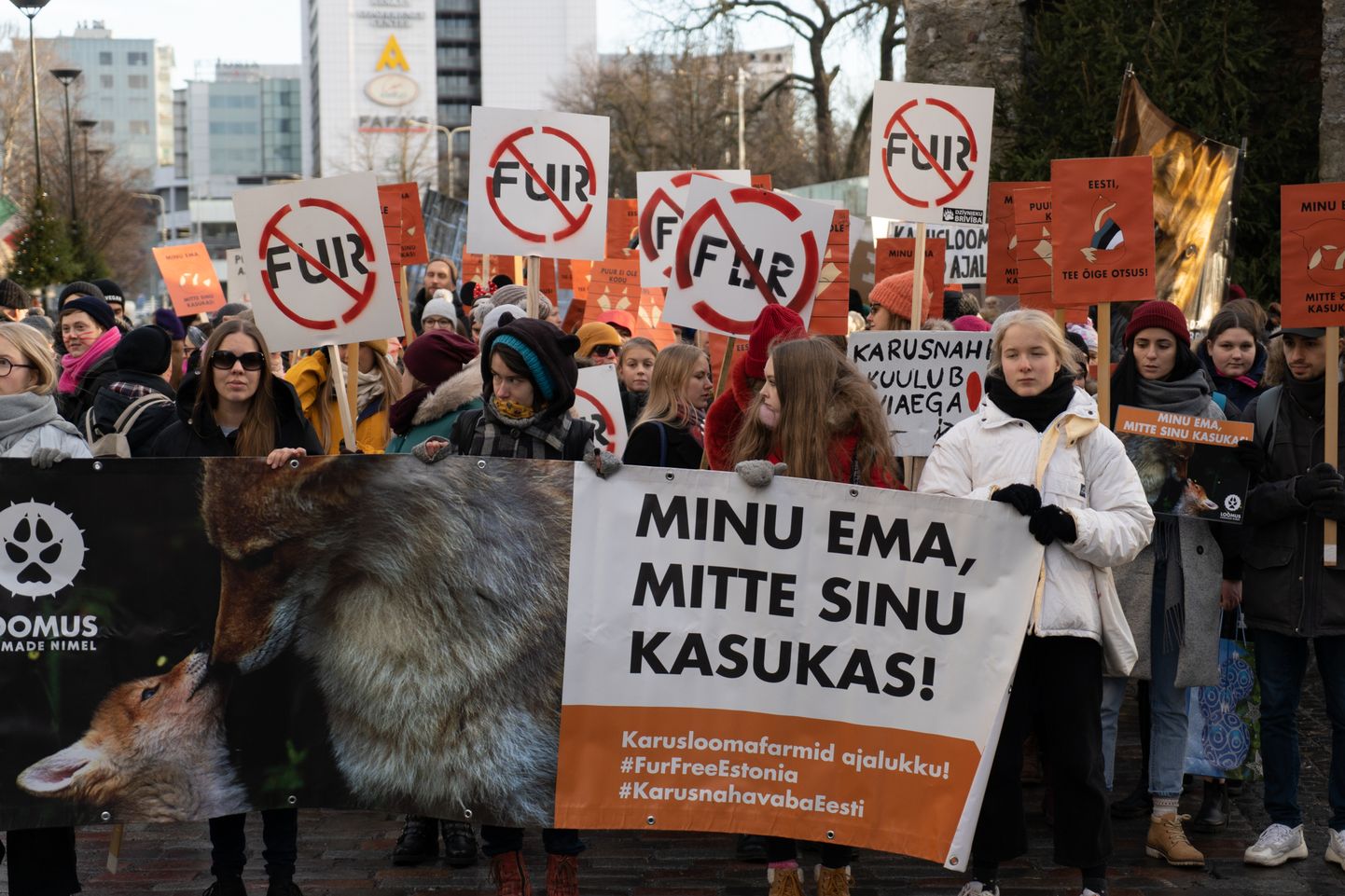 Vastavalt kahele avaliku arvamuse uuringule leiab 69% Eesti elanikest, et loomade tapmine nende karusnaha saamise eesmärgil ei ole aktsepteeritav.