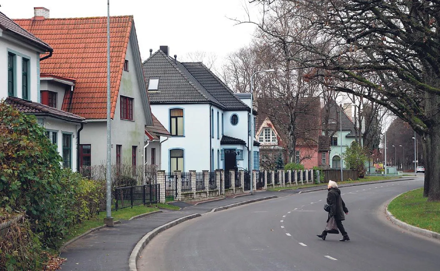 Lookleva kaarena kulgev Ringi tänav järgib hobuteid ja radu, mida kasutati juba ammustel aegadel liiklemiseks väljaspool linnakindlustusi.