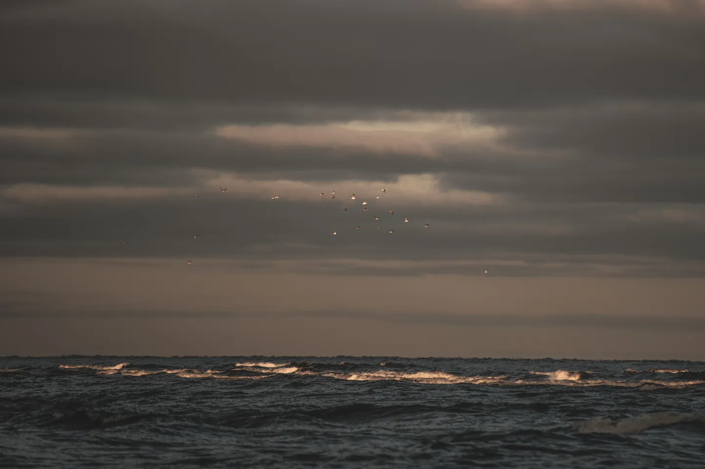 Foto: Saulains rīts Rītabuļļos
