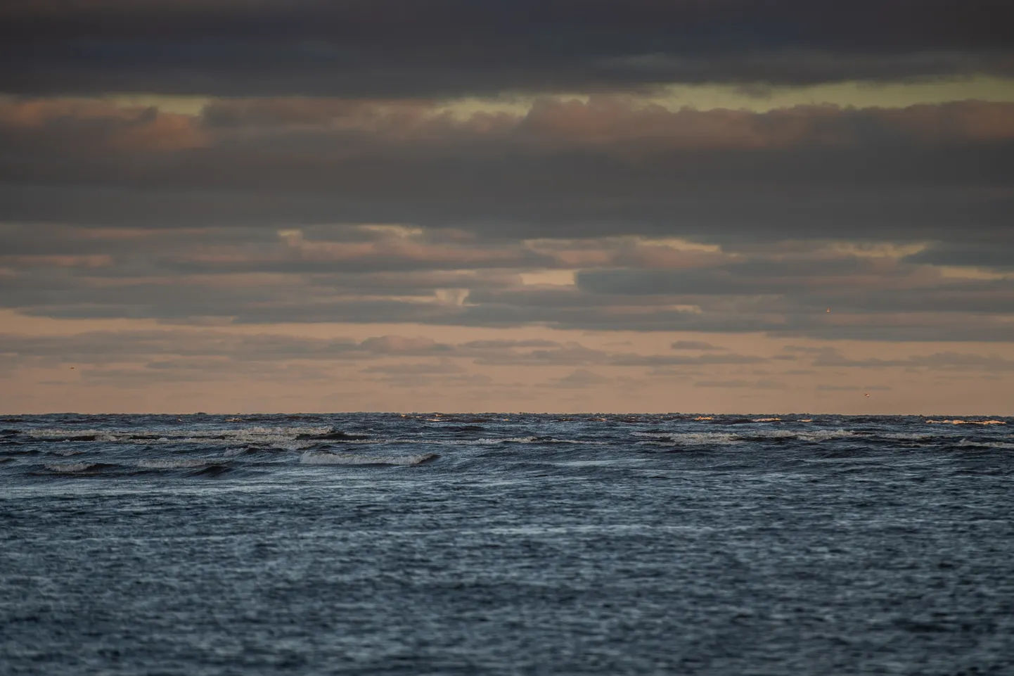 Foto: Saulains rīts Rītabuļļos