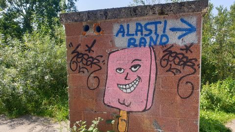 Linnavalitsus võrdleb alasti ujumist tänavakunstiga: pole lubatud, aga ei ole ka keelatud