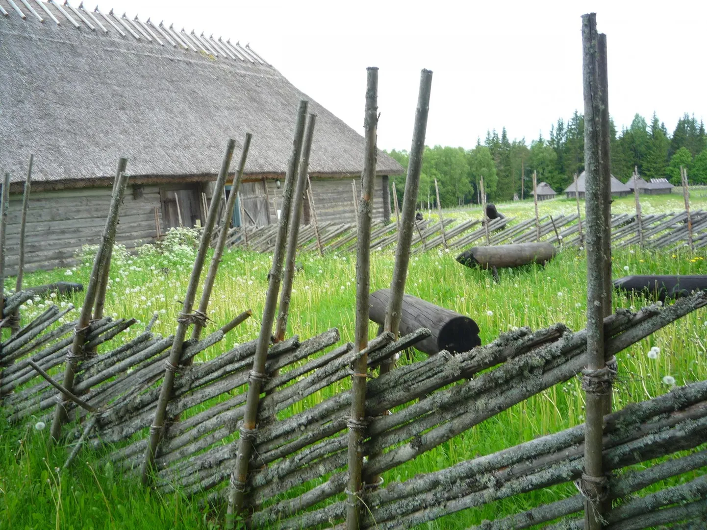 Tammsaare muuseum Vargamäel