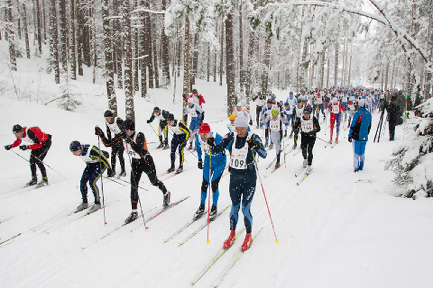 Kas Alutaguse maraton ka sel aastal toimub, sõltub sellest, kas eelseisval nädalavahetusel pudeneb taevast lund juurde või mitte. Küll on tõenäoline, et kui saabki sõita, siis pigem uisu-, aga mitte klassikastiilis, nagu on olnud eelnevatel aastatel.