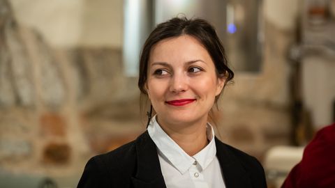 ZÜLEYXA IZMAILOVA ⟩ Mis saab tuumajaamast, kui päike paistab ja tuul puhub?