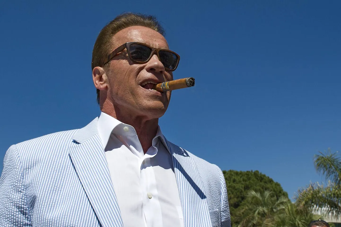 Arnold Schwarzenegger