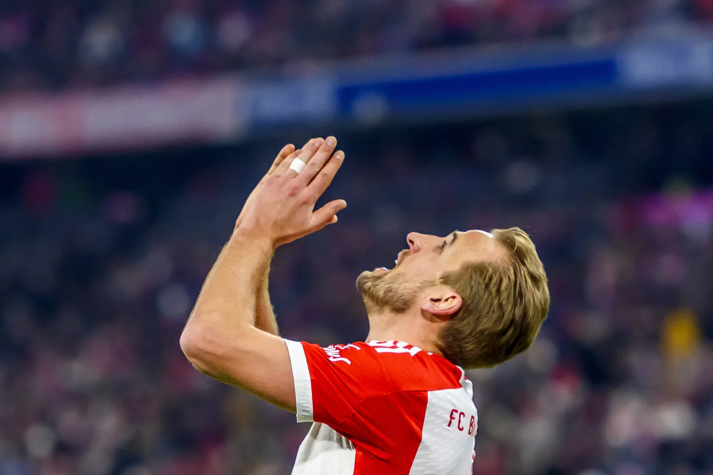 Harry Kane