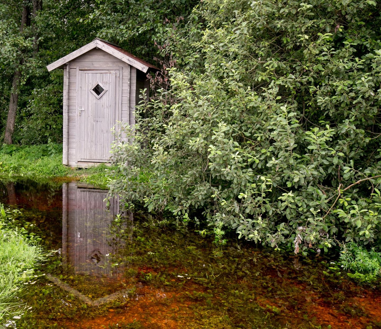 Soomaa rahvuspark 22. augustil 2016. Kust leida veel privaatsemat paika üleujutuse jälgimiseks.