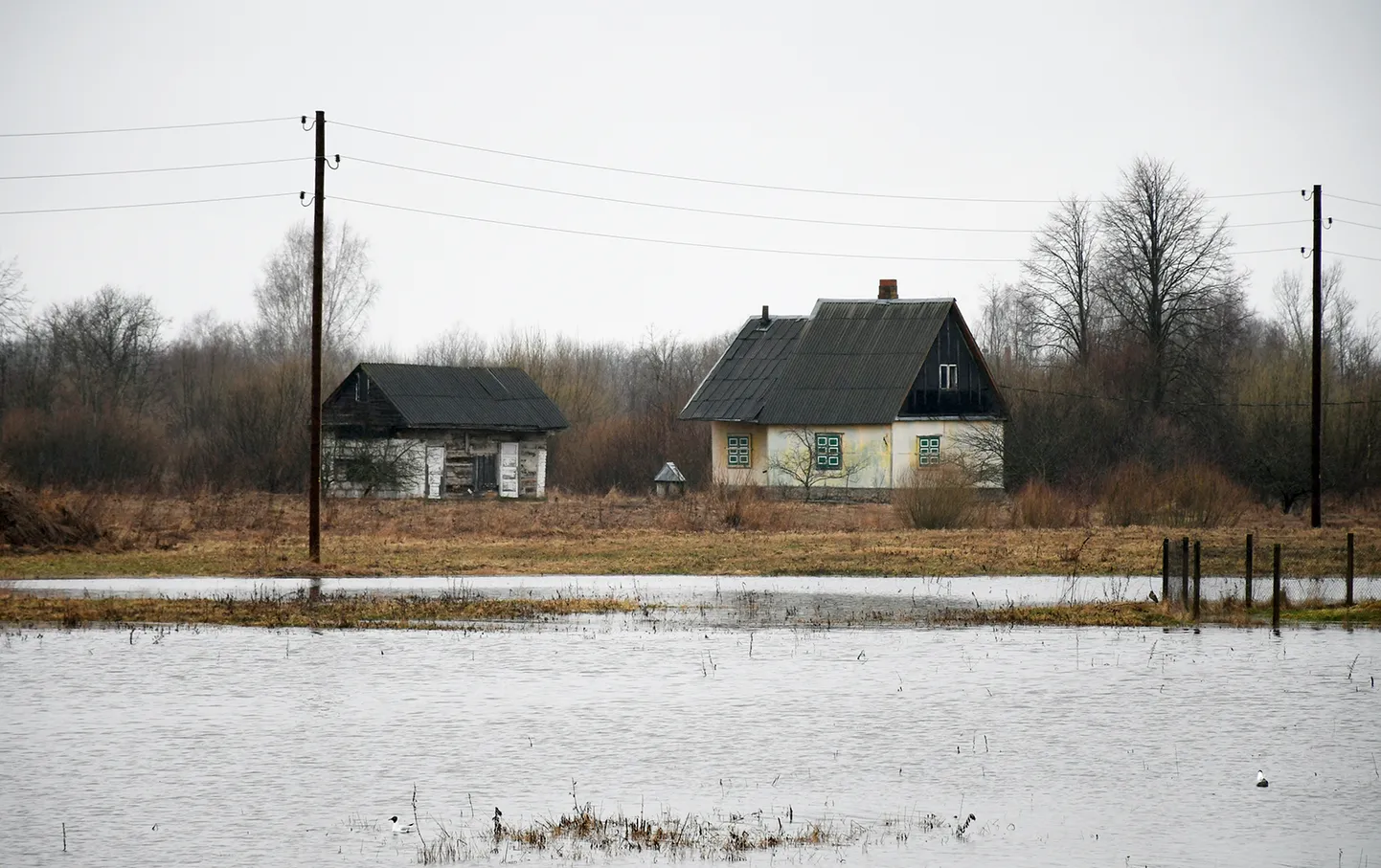 Raksta foto